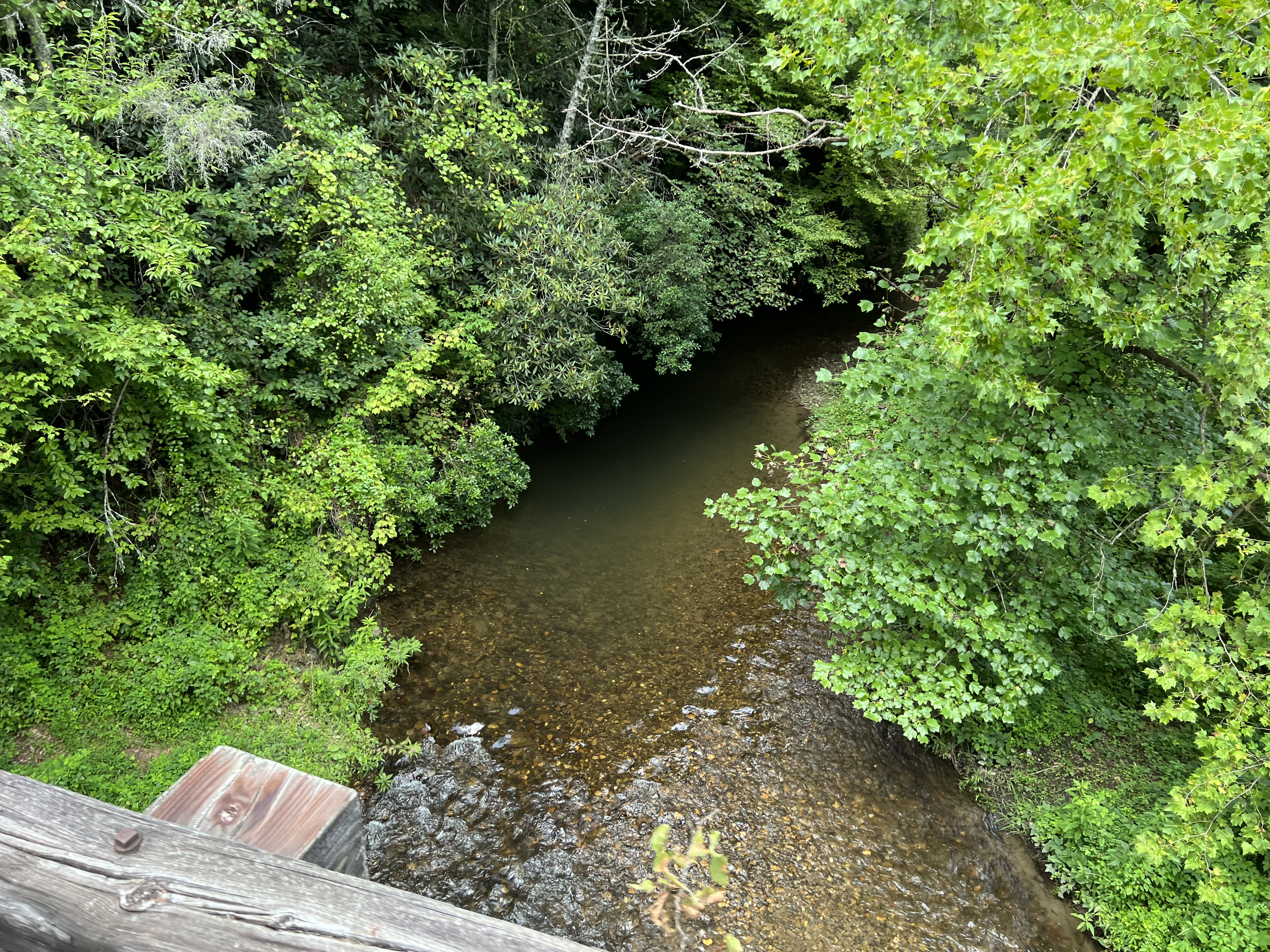 ./2023/11 - Asheville/IMG_9888.jpg